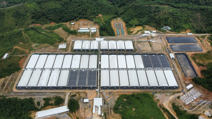 Đóng cửa vĩnh viễn trại heo nếu không xử lý được ô nhiễm- Ảnh 2.