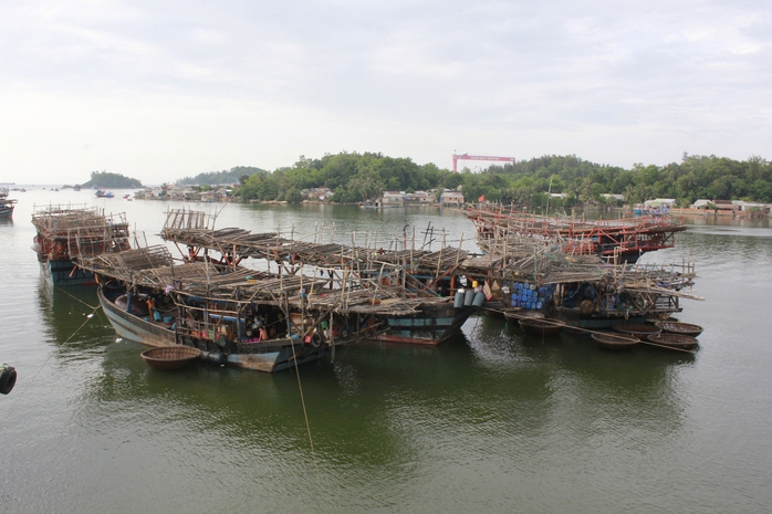 Tôi sẽ về sông nước của quê hương- Ảnh 1. Tôi sẽ về sông nước của quê hương- Ảnh 1.