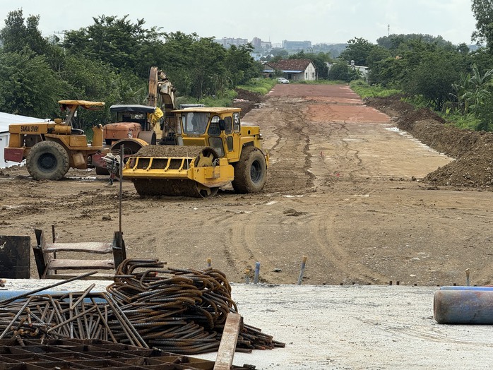 Hợp long cầu Bạch Đằng 2 nối Bình Dương và Đồng Nai- Ảnh 5.