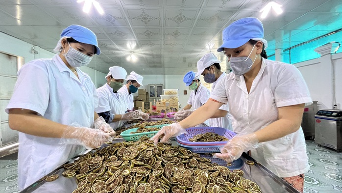 Trái cây sấy dẻo của Công ty Bắc Mỹ Thuận được nhiều người Việt ở nước ngoài ưa chuộng Trái cây sấy dẻo của Công ty Bắc Mỹ Thuận được nhiều người Việt ở nước ngoài ưa chuộng