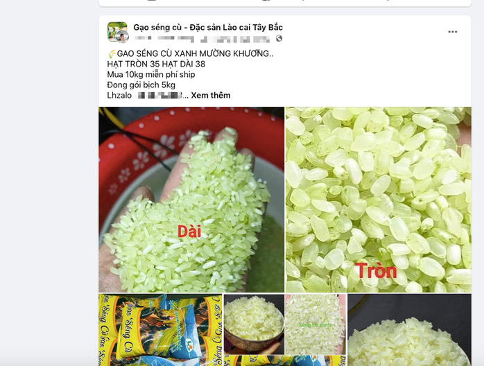 Trưởng Phòng Nông nghiệp: "Tôi cũng khó mua được gạo Séng Cù Mường Khương thật"- Ảnh 1. Trưởng Phòng Nông nghiệp: "Tôi cũng khó mua được gạo Séng Cù Mường Khương thật"- Ảnh 1.