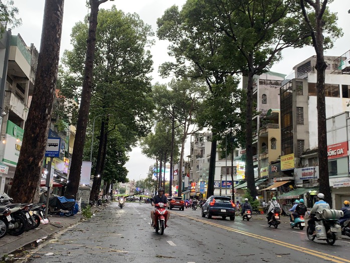TP HCM: Nhiều cây xanh bật gốc, ô tô gặp nạn trên đường Ngô Gia Tự
- Ảnh 4. TP HCM: Nhiều cây xanh bật gốc, ô tô gặp nạn trên đường Ngô Gia Tự
- Ảnh 4.
