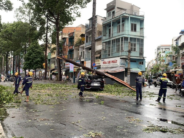 TP HCM: Nhiều cây xanh bật gốc, ô tô gặp nạn trên đường Ngô Gia Tự
- Ảnh 3. TP HCM: Nhiều cây xanh bật gốc, ô tô gặp nạn trên đường Ngô Gia Tự
- Ảnh 3.
