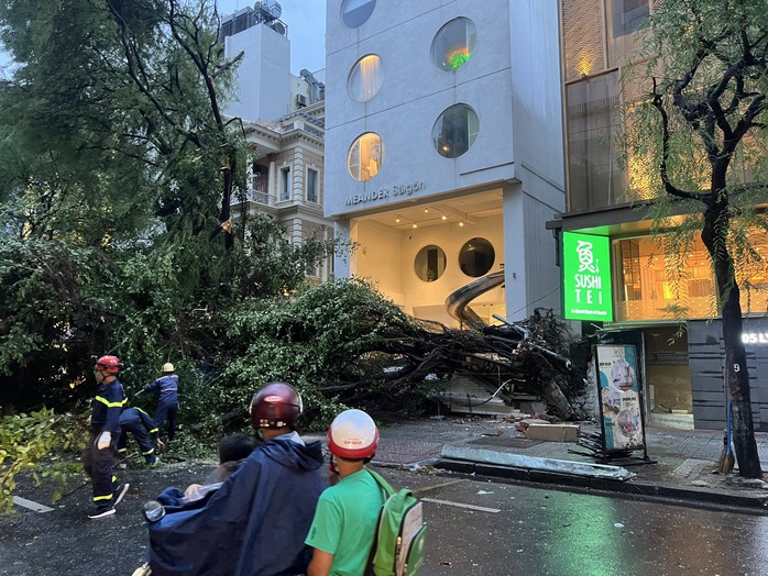 TP HCM: Nhiều cây xanh bật gốc, ô tô gặp nạn trên đường Ngô Gia Tự
- Ảnh 5. TP HCM: Nhiều cây xanh bật gốc, ô tô gặp nạn trên đường Ngô Gia Tự
- Ảnh 5.