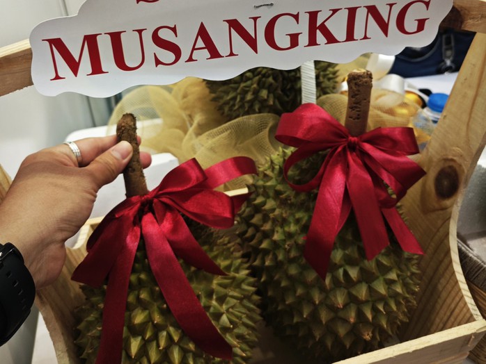 Sầu riêng Musang King rớt giá thê thảm- Ảnh 1. Sầu riêng Musang King rớt giá thê thảm- Ảnh 1.