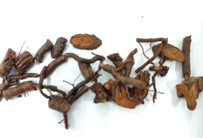 Người phụ nữ tử vong do uống nhầm nước rễ cây lá ngón- Ảnh 2. Người phụ nữ tử vong do uống nhầm nước rễ cây lá ngón- Ảnh 2.