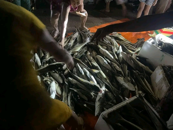 Nước nguồn đổ về, gần 2 tấn cá lồng chuẩn bị xuất bán chết trắng- Ảnh 1. Nước nguồn đổ về, gần 2 tấn cá lồng chuẩn bị xuất bán chết trắng- Ảnh 1.