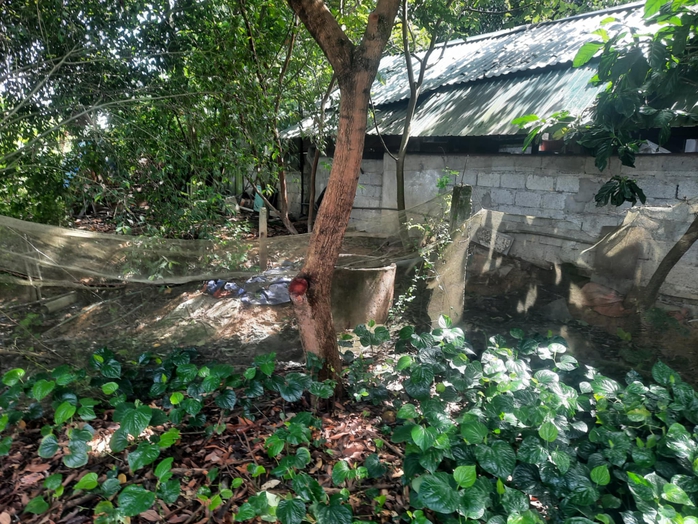Gần 5 năm bị “tra tấn” bởi mùi hôi thối từ chuồng nuôi heo gây ô nhiễm- Ảnh 3. Gần 5 năm bị “tra tấn” bởi mùi hôi thối từ chuồng nuôi heo gây ô nhiễm- Ảnh 3.