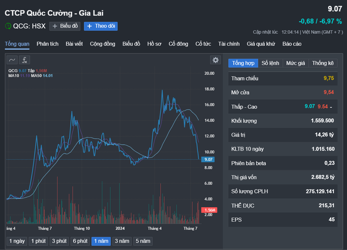 Cổ phiếu Quốc Cường Gia Lai lao dốc- Ảnh 1. Cổ phiếu Quốc Cường Gia Lai lao dốc- Ảnh 1.
