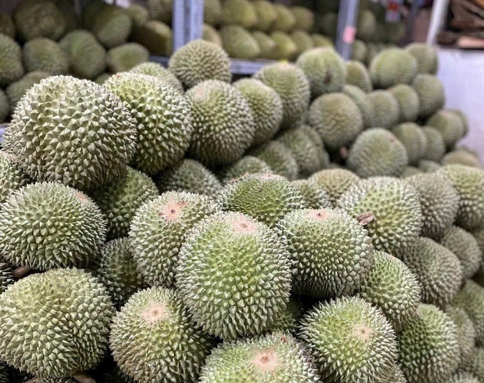Thêm một loại sầu riêng "độc - lạ" rớt giá mạnh- Ảnh 2. Thêm một loại sầu riêng "độc - lạ" rớt giá mạnh- Ảnh 2.