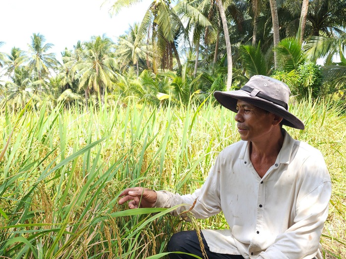 Trà Vinh bứt phá ngoạn mục- Ảnh 1. Trà Vinh bứt phá ngoạn mục- Ảnh 1.