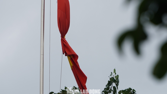 TP HCM: Nhiều trụ sở treo cờ rủ tưởng nhớ Tổng Bí thư Nguyễn Phú Trọng trước ngày Quốc tang- Ảnh 11. TP HCM: Nhiều trụ sở treo cờ rủ tưởng nhớ Tổng Bí thư Nguyễn Phú Trọng trước ngày Quốc tang- Ảnh 11.