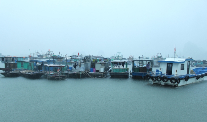 Bão số 2: Toàn bộ khách du lịch tham quan vịnh Hạ Long đều đã về bờ- Ảnh 3. Bão số 2: Toàn bộ khách du lịch tham quan vịnh Hạ Long đều đã về bờ- Ảnh 3.