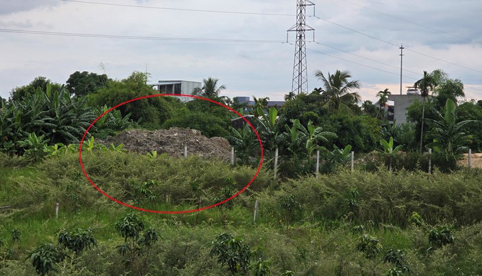 Đà Nẵng: Xác minh vụ đổ phế thải trái phép, biến ruộng thành bãi rác- Ảnh 3. Đà Nẵng: Xác minh vụ đổ phế thải trái phép, biến ruộng thành bãi rác- Ảnh 3.