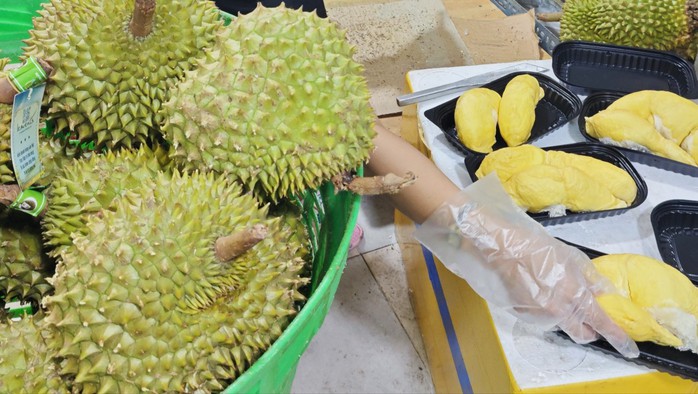 Vì sao giá sầu riêng Ri 6 và Monthong chênh lệch đến 40%?- Ảnh 2. Vì sao giá sầu riêng Ri 6 và Monthong chênh lệch đến 40%?- Ảnh 2.