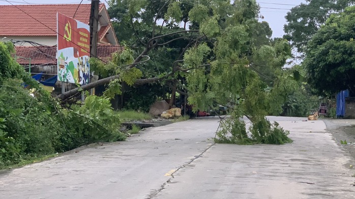 Bão số 2 suy yếu, khẩn trương khắc phục hậu quả- Ảnh 2. Bão số 2 suy yếu, khẩn trương khắc phục hậu quả- Ảnh 2.