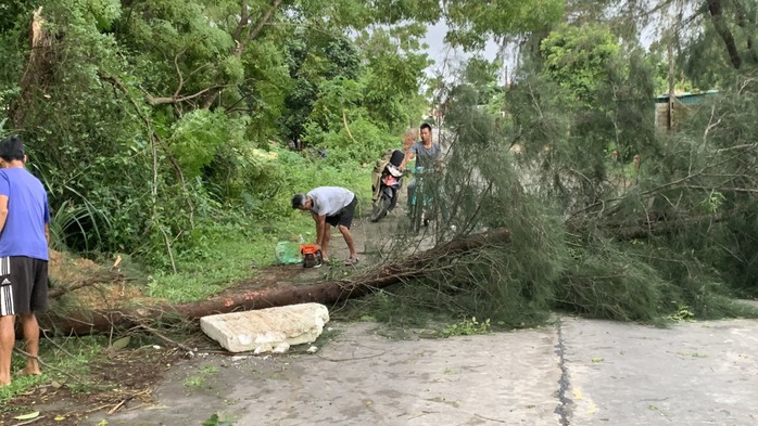 Bão số 2 suy yếu, khẩn trương khắc phục hậu quả- Ảnh 3. Bão số 2 suy yếu, khẩn trương khắc phục hậu quả- Ảnh 3.