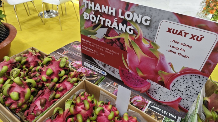 Quả thanh long “tỉ đô” giờ xuất khẩu ra sao?- Ảnh 1. Quả thanh long “tỉ đô” giờ xuất khẩu ra sao?- Ảnh 1.