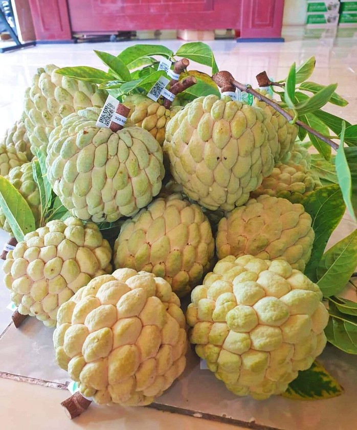 Một loại trái cây được thực khách săn tìm, nông dân bỏ túi nửa tỉ đồng/ha- Ảnh 1. Một loại trái cây được thực khách săn tìm, nông dân bỏ túi nửa tỉ đồng/ha- Ảnh 1.
