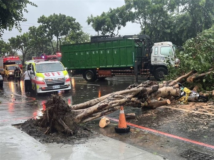 Sau khi bão đổ bộ ngày 24-7, nhiều cây xanh tại TP Cao Hùng bật gốc. Ảnh: Focus Taiwan Sau khi bão đổ bộ ngày 24-7, nhiều cây xanh tại TP Cao Hùng bật gốc. Ảnh: Focus Taiwan