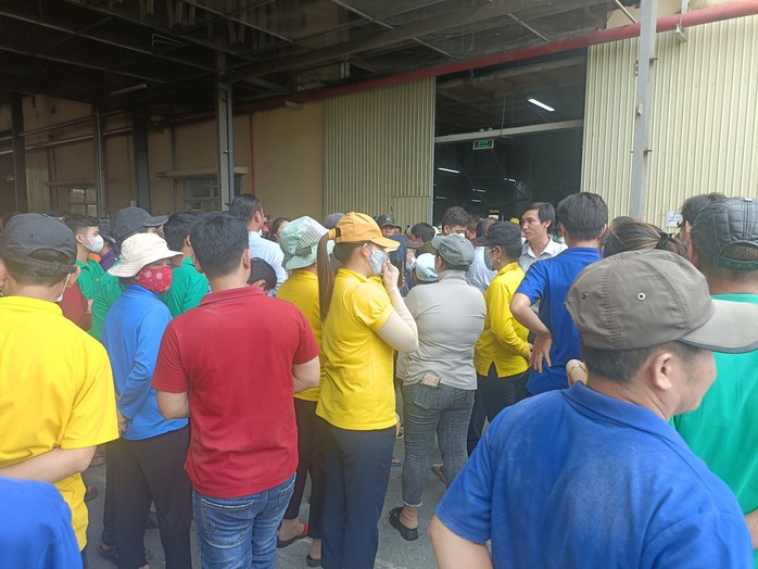 Cam kết của Công ty Hoàng Sinh ở Bình Dương- Ảnh 1. Cam kết của Công ty Hoàng Sinh ở Bình Dương- Ảnh 1.