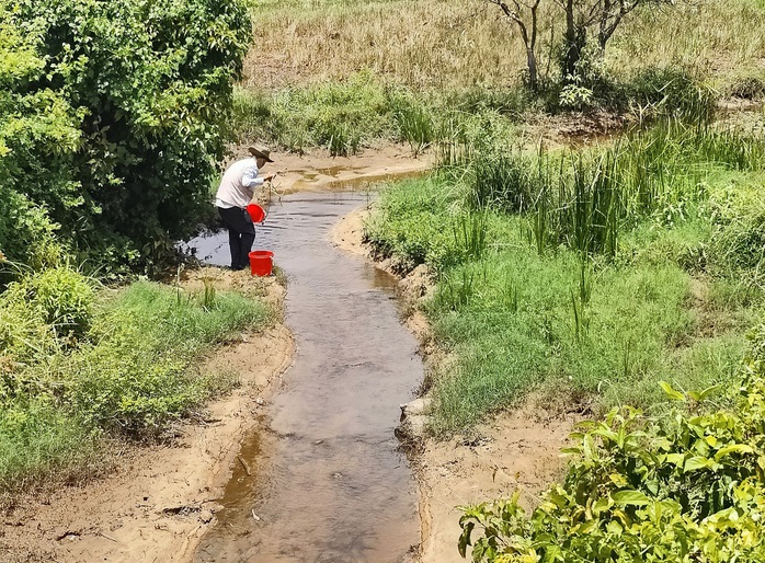 Tìm nguyên nhân cá chết bất thường trên sông Mỹ Gia- Ảnh 1. Tìm nguyên nhân cá chết bất thường trên sông Mỹ Gia- Ảnh 1.