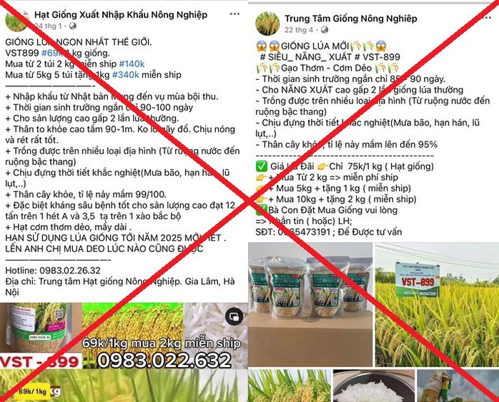 7 đối tượng lừa bán giống lúa giả cho nông dân, chiếm đoạt 7,8 tỉ đồng- Ảnh 1. 7 đối tượng lừa bán giống lúa giả cho nông dân, chiếm đoạt 7,8 tỉ đồng- Ảnh 1.