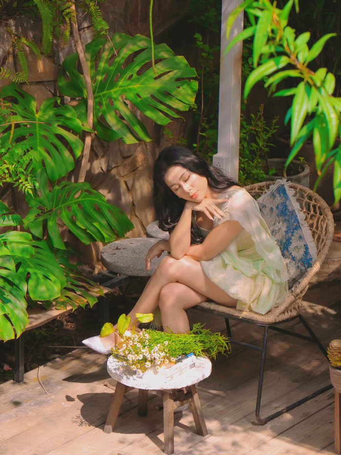 Phía Nam Thư bác bỏ cáo buộc Phía Nam Thư bác bỏ cáo buộc