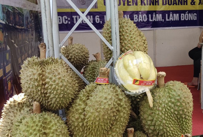 Giá sầu riêng bất ngờ tăng vọt lên hơn 100.000 đồng/kg- Ảnh 1. Giá sầu riêng bất ngờ tăng vọt lên hơn 100.000 đồng/kg- Ảnh 1.