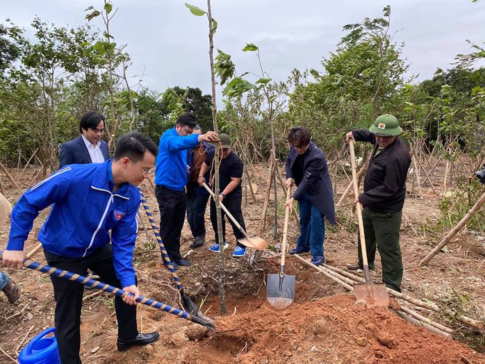 Dự án trồng rừng của ca sĩ Hà Anh Tuấn ở Đà Nẵng: 4 năm đã tàn lụi- Ảnh 2. Dự án trồng rừng của ca sĩ Hà Anh Tuấn ở Đà Nẵng: 4 năm đã tàn lụi- Ảnh 2.