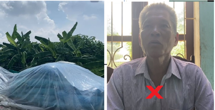 Người đàn ông đêm hôm đột nhập vào trộm cắp 13 bao lông vịt- Ảnh 1. Người đàn ông đêm hôm đột nhập vào trộm cắp 13 bao lông vịt- Ảnh 1.