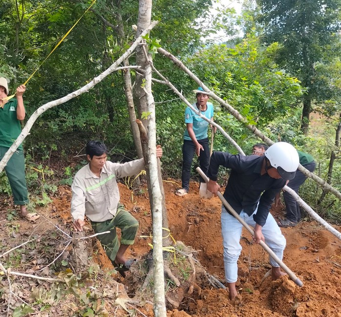 Xã Hướng Linh tổ chức trồng lại số cây sau sau bị đào bới, chưa vận chuyển Ảnh: ANH TUẤN Xã Hướng Linh tổ chức trồng lại số cây sau sau bị đào bới, chưa vận chuyển Ảnh: ANH TUẤN