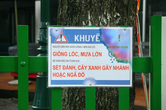 Hình ảnh Công viên Tao Đàn sau vụ gãy cây làm 5 người thương vong- Ảnh 7. Hình ảnh Công viên Tao Đàn sau vụ gãy cây làm 5 người thương vong- Ảnh 7.