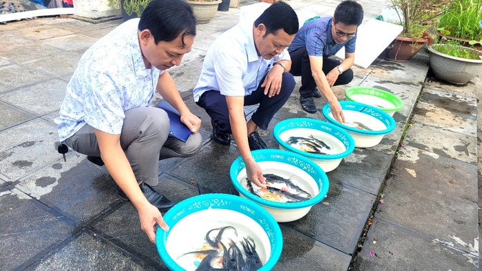Thả phóng sinh 13.000 con cá xuống dòng sông Hồng- Ảnh 3. Thả phóng sinh 13.000 con cá xuống dòng sông Hồng- Ảnh 3.
