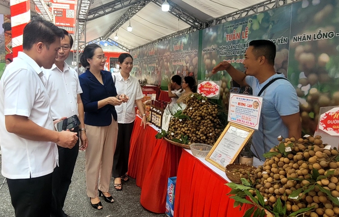 Một loại quả tiến vua của Hưng Yên giá cao chót vót- Ảnh 1. Một loại quả tiến vua của Hưng Yên giá cao chót vót- Ảnh 1.