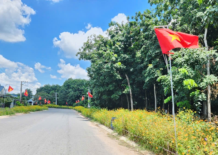 Cờ Tổ quốc tung bay trên đường hoa vàng rực rỡ ở Bình Dương- Ảnh 8. Cờ Tổ quốc tung bay trên đường hoa vàng rực rỡ ở Bình Dương- Ảnh 8.