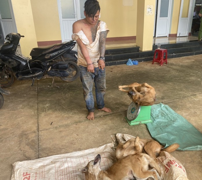 Trộm chó nhưng bị phát hiện, ra tay đâm chủ nhà trọng thương- Ảnh 1.