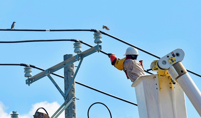 Điện lực các địa phương không được ngừng cung cấp điện dịp 2-9- Ảnh 3. Điện lực các địa phương không được ngừng cung cấp điện dịp 2-9- Ảnh 3.