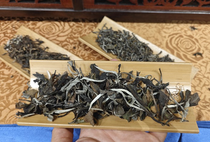 Loại trà đặc biệt 25 triệu đồng/kg- Ảnh 3. Loại trà đặc biệt 25 triệu đồng/kg- Ảnh 3.
