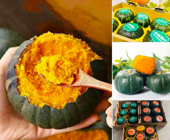 Bí ngô Trung Quốc gây sốt trên các chợ mạng, được quảng cáo "ngon nhất thế giới"- Ảnh 1. Bí ngô Trung Quốc gây sốt trên các chợ mạng, được quảng cáo "ngon nhất thế giới"- Ảnh 1.