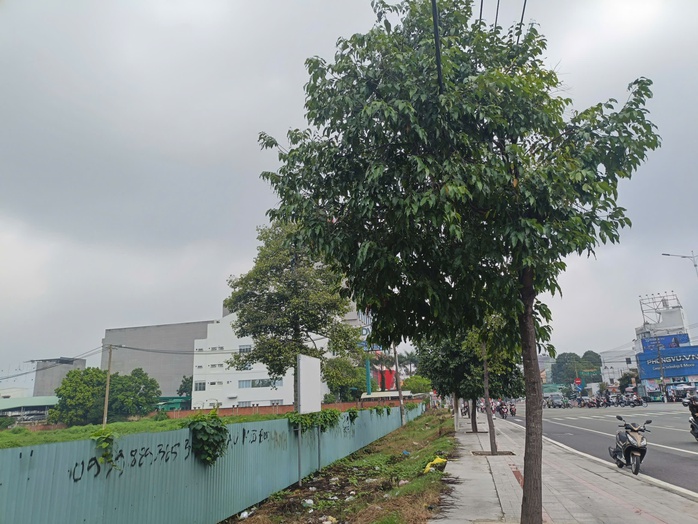 Đấu giá 8 khu đất nào mà Bình Dương dự tính thu về gần 7.000 tỉ đồng? - Ảnh 1. Đấu giá 8 khu đất nào mà Bình Dương dự tính thu về gần 7.000 tỉ đồng? - Ảnh 1.