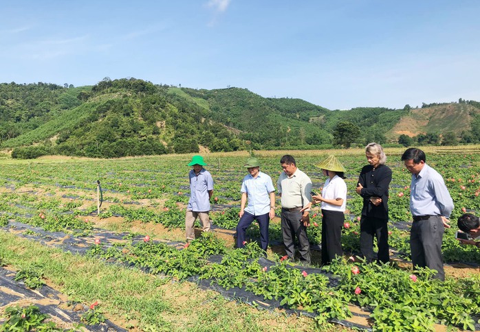 Nỗ lực đưa A Lưới thoát nghèo- Ảnh 1. Nỗ lực đưa A Lưới thoát nghèo- Ảnh 1.