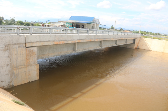 Do đâu hàng trăm hecta thanh long Bình Thuận bị ngập chỉ sau vài cơn mưa?- Ảnh 6. Do đâu hàng trăm hecta thanh long Bình Thuận bị ngập chỉ sau vài cơn mưa?- Ảnh 6.