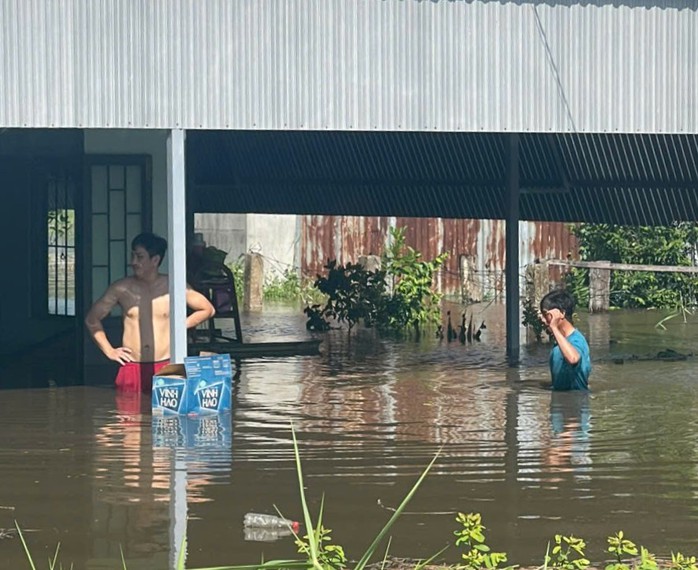 Do đâu hàng trăm hecta thanh long Bình Thuận bị ngập chỉ sau vài cơn mưa?- Ảnh 2. Do đâu hàng trăm hecta thanh long Bình Thuận bị ngập chỉ sau vài cơn mưa?- Ảnh 2.