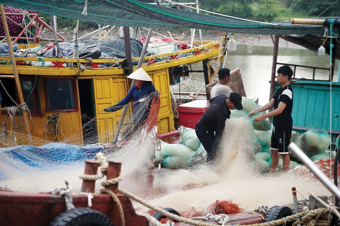 Hỗ trợ ngư dân tỉnh Thái Bình vươn khơi bám biển- Ảnh 1. Hỗ trợ ngư dân tỉnh Thái Bình vươn khơi bám biển- Ảnh 1.
