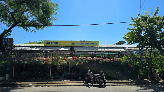 Bí mật sau những chuyến xe chở cây rừng ở Quảng Trị (*): Vén màn sự thật- Ảnh 3. Bí mật sau những chuyến xe chở cây rừng ở Quảng Trị (*): Vén màn sự thật- Ảnh 3.