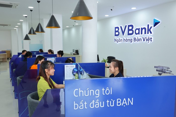 Ai là cổ đông lớn nhất tại BVBank, VIB?- Ảnh 1.