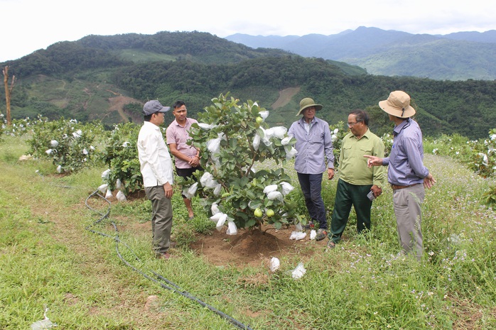 Cuộc thi viết &ldquo;L&Ograve;NG TỐT QUANH TA&rdquo;: &Ocirc;ng Mười trong l&ograve;ng người Ca Dong- Ảnh 1.
