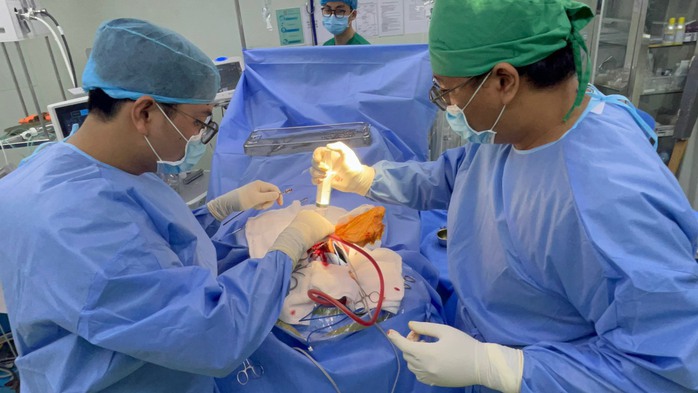 Sóc Trăng: Bé trai gây họa lớn khi cầm kéo ném vào mèo hoang- Ảnh 2. Sóc Trăng: Bé trai gây họa lớn khi cầm kéo ném vào mèo hoang- Ảnh 2.