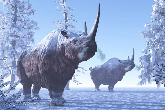 Đào vàng ở Siberia, nhóm thợ mỏ phát hiện “xác ướp quái vật"- Ảnh 2. Đào vàng ở Siberia, nhóm thợ mỏ phát hiện “xác ướp quái vật"- Ảnh 2.